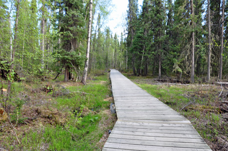part of the boardwalk leading to the pools