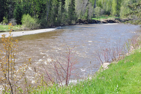 Canyon Creek at the side of the campground