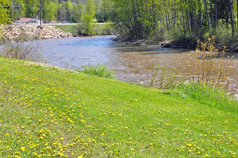 Canyon Creek at the side of the campground