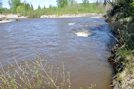the  creek
