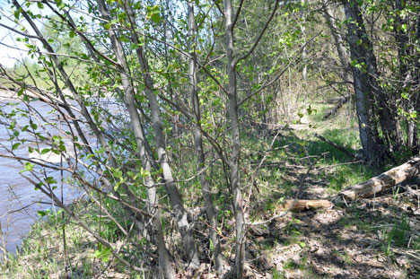 the  creek and trail