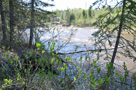 the  creek