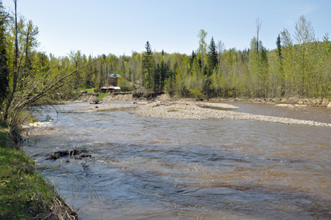 the  creek