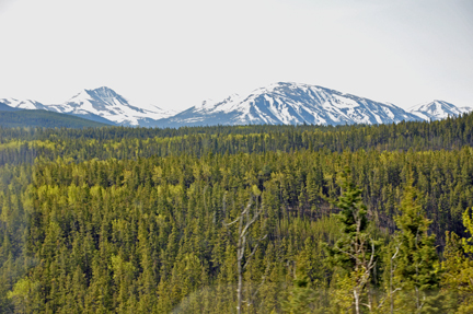 BEAUTIFUL SCENERY ALONG THE ALASKA HIGHWAY
