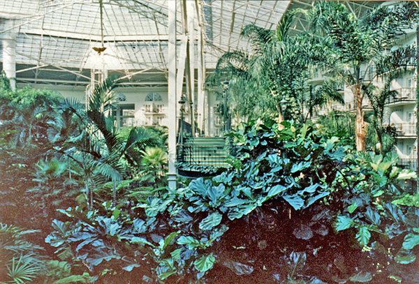 Opryland Hotel Atrium