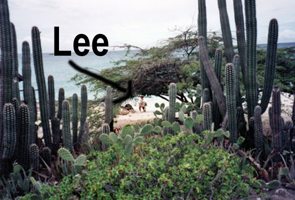 Lee Duquette hiding under a Divi Divi tre