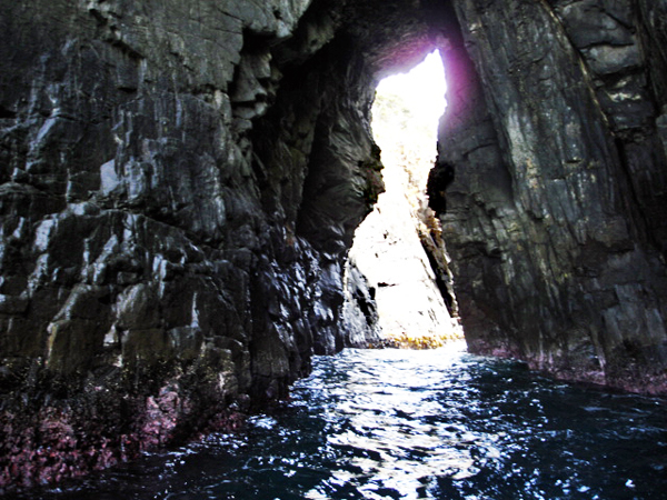 Bruny Island cliffs