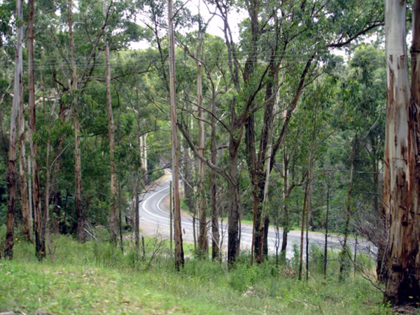 Puffing Billy Train