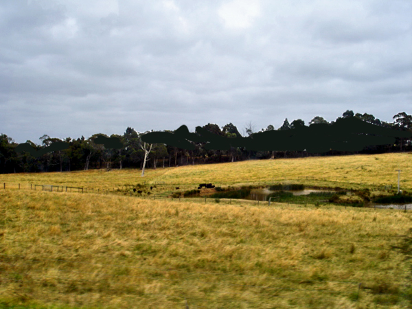 scenery