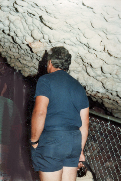 Lee Duquette