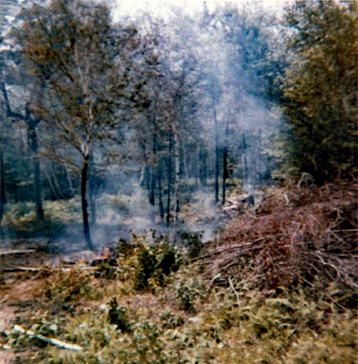 burning the waste