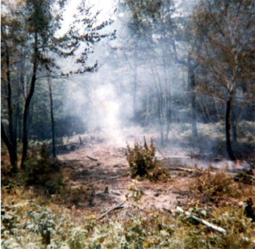 burning the waste