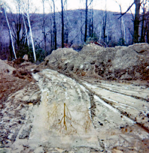 clearing the land