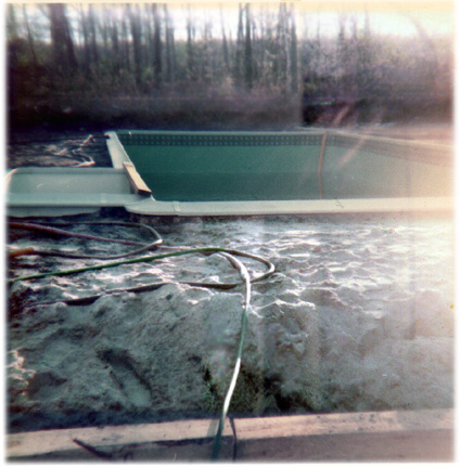 the swimming pool