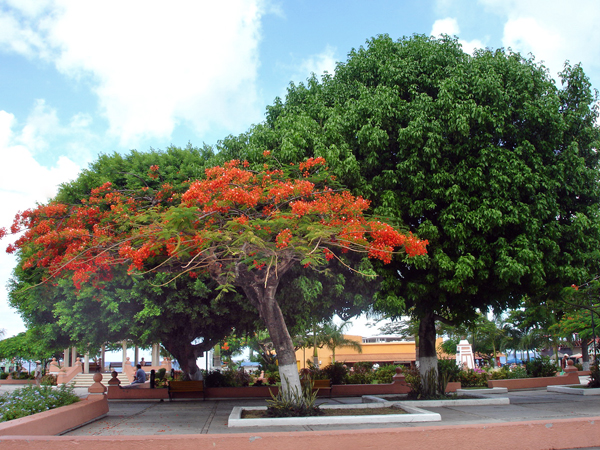 streets of Villa Mar