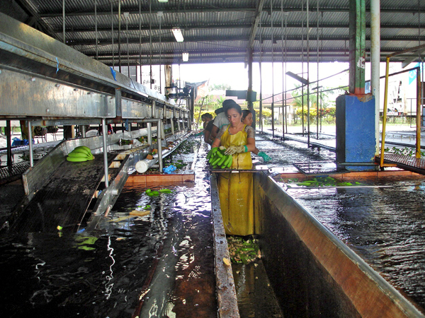workers