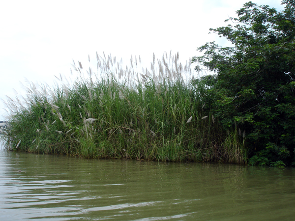 Colon scenery