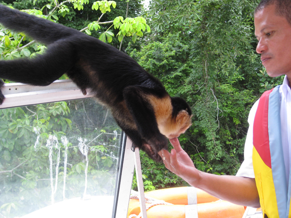 the boat driver feeding the monlkey