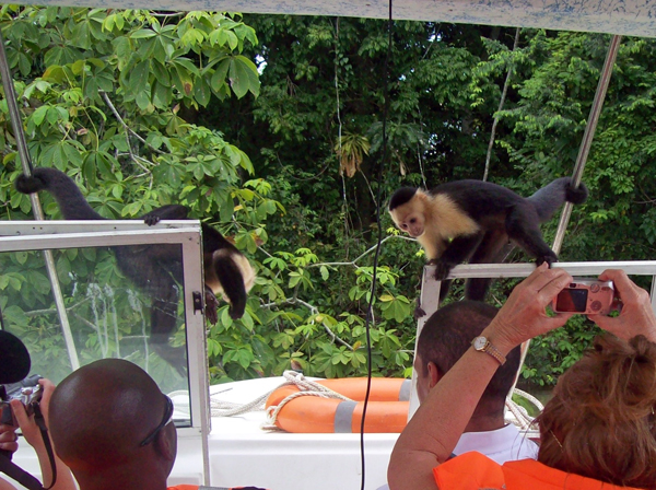 Karen Duquette and the monkies