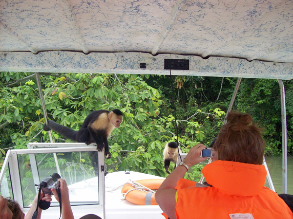 Karen Duquette and the monkies