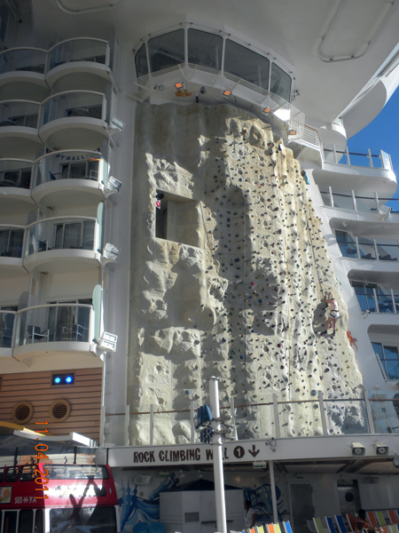 The Rock Climbing Wall