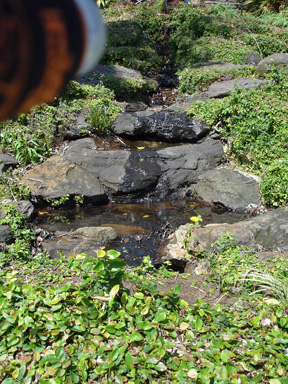 water trickling down the rocks
