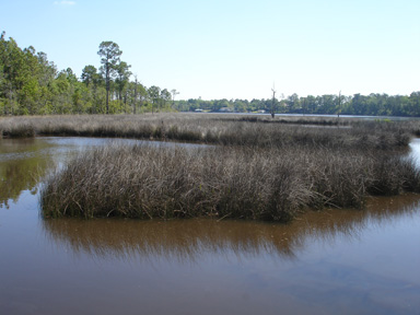 Fowl River