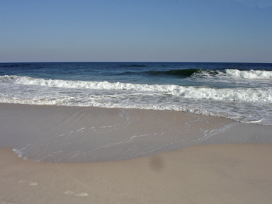 the Gulf of Mexico
