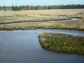 scenery in Mississippi