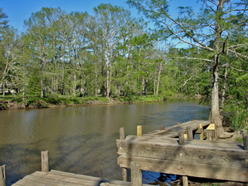 Turtle Bayou