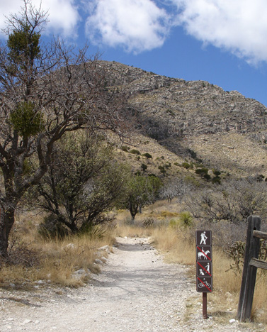 the beginning of the hike