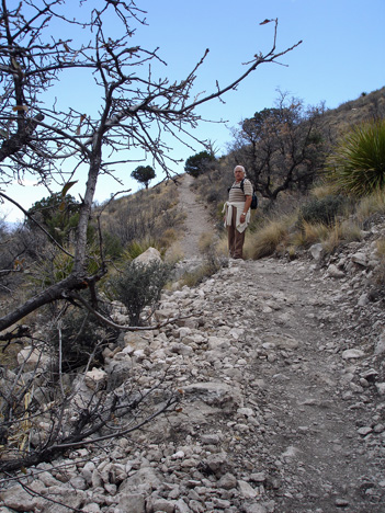 switch-back trail 
