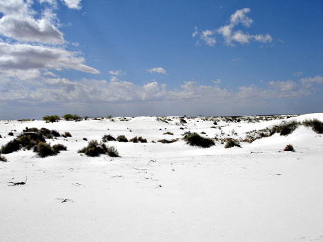 white sand dunes