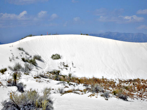 white sand dunes