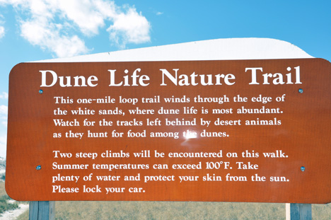 sign - Dune Life Nature Trail