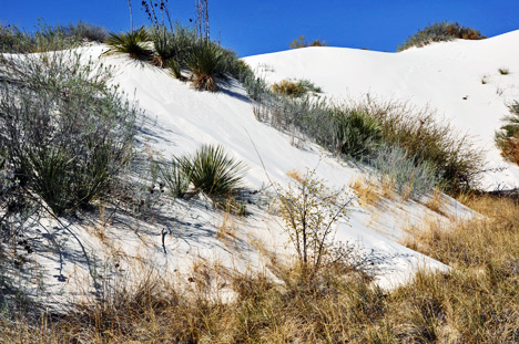 white sand