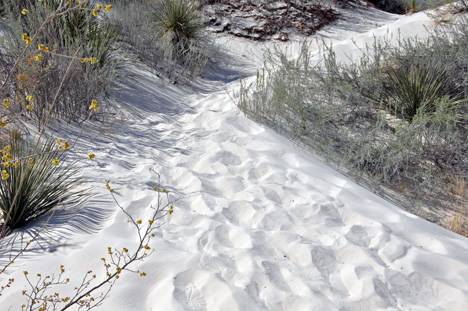 white sand