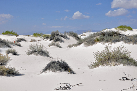 white sand dunes
