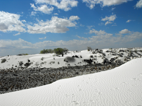white sand dunes