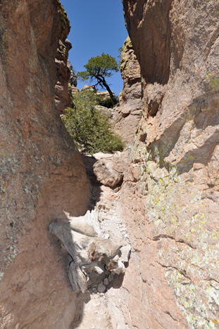 A big piece of rock in the middle of a narrow trail