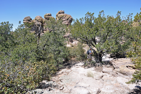 can you find Lee by the tree?