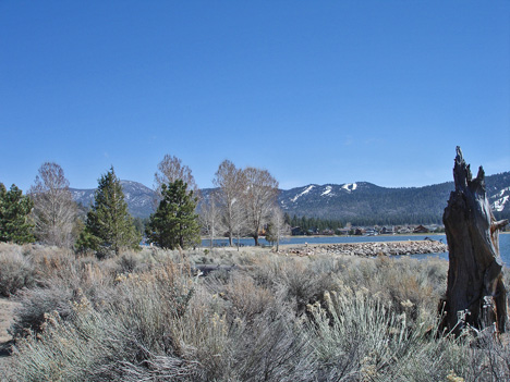 the beautiful lake