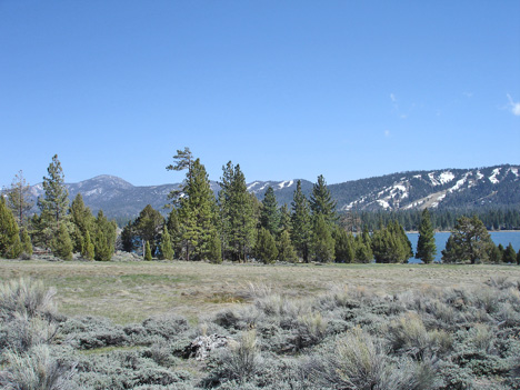 the beautiful lake