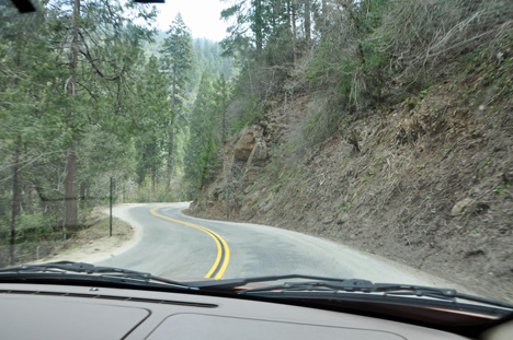 curvy road