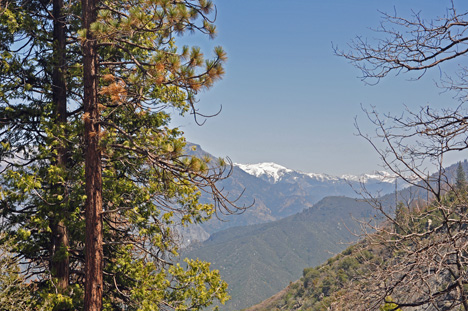 amazing scenery as we drove through Kings Canyon