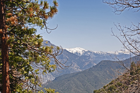 amazing scenery as we drove through Kings Canyon