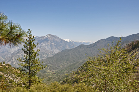 amazing scenery as we drove through Kings Canyon