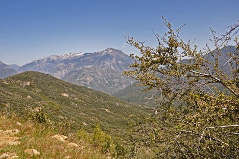 amazing scenery as we drove through Kings Canyon