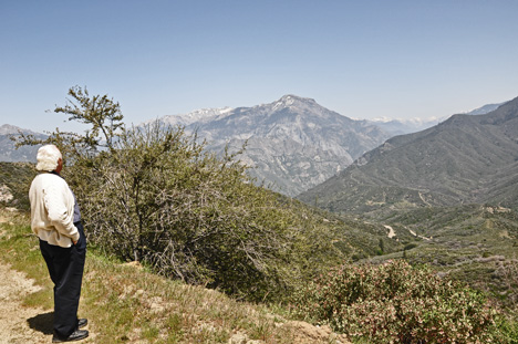 lee admiring the amazing scenery as we drove through Kings Canyon