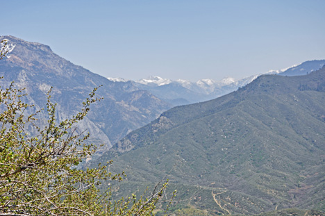amazing scenery as we drove through Kings Canyon